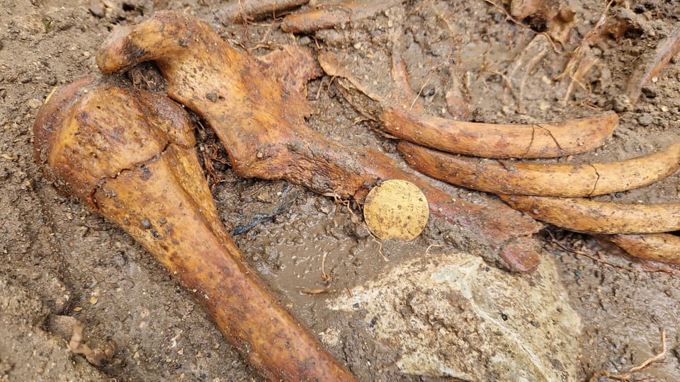 Archaeologists also found a gold ducat from 1732 in the tomb | Photo: National Heritage Institute, CC BY-NC-ND 3.0 CZ Archaeologists also found a gold ducat from 1732 in the tomb | Photo: National Heritage Institute, CC BY-NC-ND 3.0 CZ