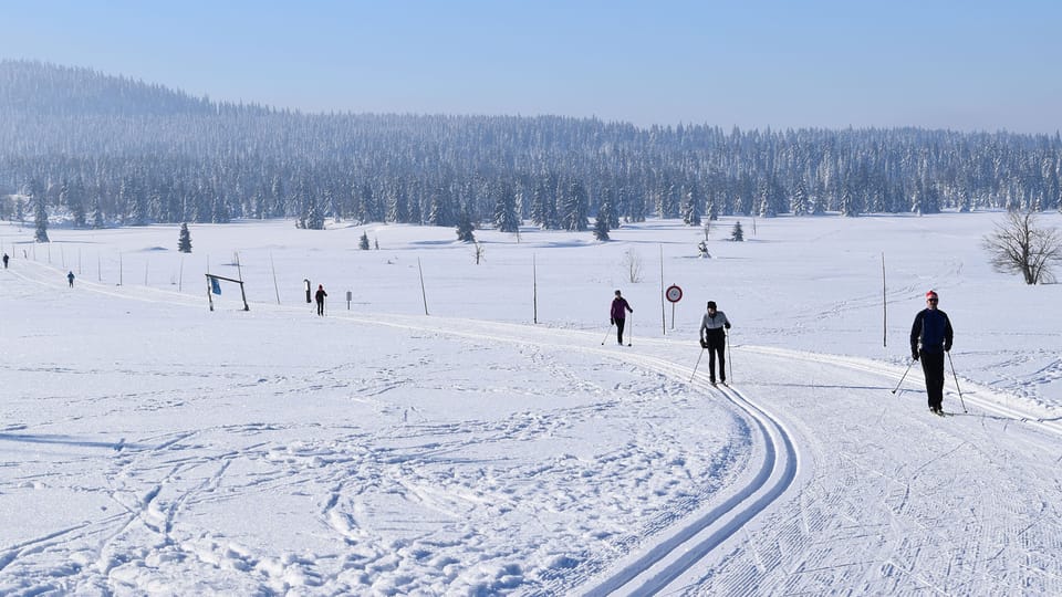 Cross-country skiing trails in the Ore Mountains | Photo: Ondřej Tomšů,  Radio Prague International