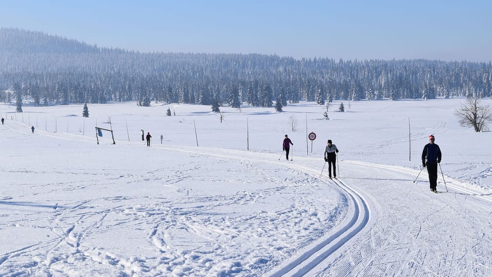 Cross-country skiing trails in the Ore Mountains | Photo: Ondřej Tomšů, Radio Prague International Cross-country skiing trails in the Ore Mountains | Photo: Ondřej Tomšů, Radio Prague International