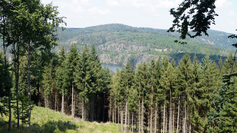 The Drbákov-Albertovy skály national nature reserve | Photo: Miloš Turek, Radio Prague International The Drbákov-Albertovy skály national nature reserve | Photo: Miloš Turek, Radio Prague International