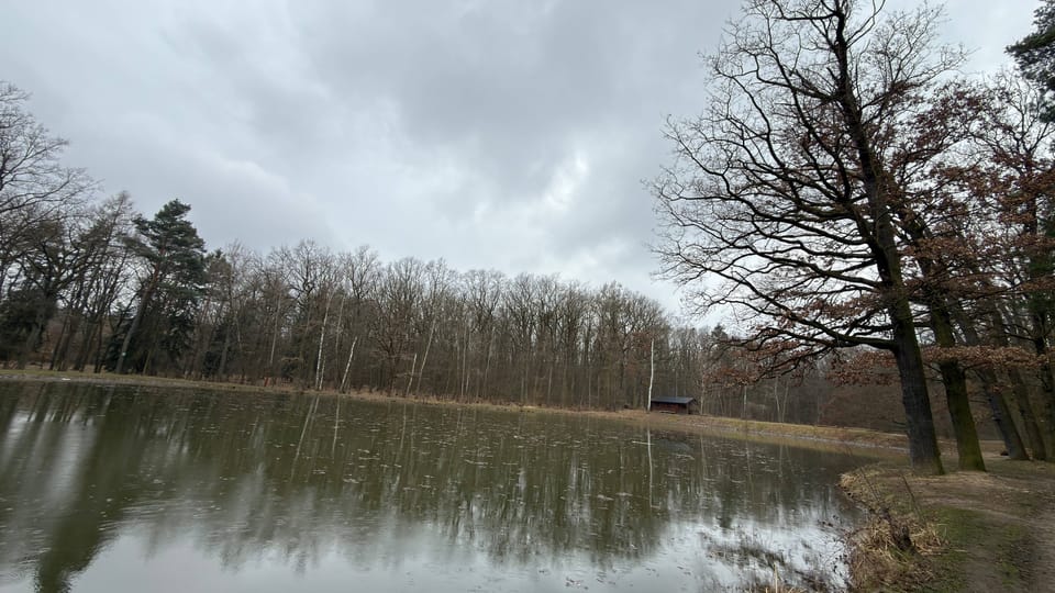 Placiny pond in Klánovice forest | Photo: Vít Pohanka,  Radio Prague International