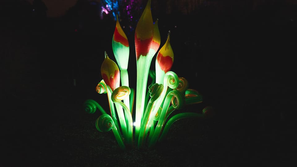 Photo: Barbora Navrátilová, Radio Prague International Photo: Barbora Navrátilová, Radio Prague International