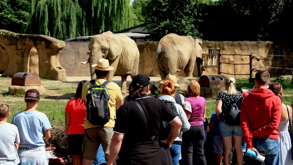 Zoo in Dvůr Králové | Photo: Barbora Němcová, Radio Prague International Zoo in Dvůr Králové | Photo: Barbora Němcová, Radio Prague International