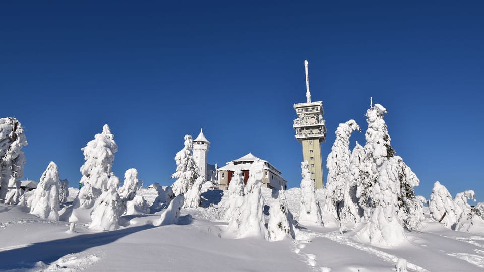 Photo: Ondřej Tomšů Photo: Ondřej Tomšů
