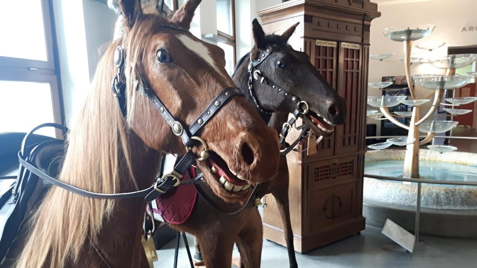 The historic carousel in Prague’s Letná park | Photo: Marie Veselá, Czech Radio The historic carousel in Prague’s Letná park | Photo: Marie Veselá, Czech Radio