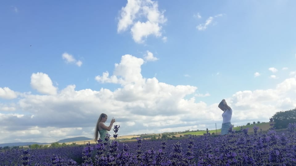 People take photos in the lavender fields | Photo: Martina Kroa,  Radio Prague International