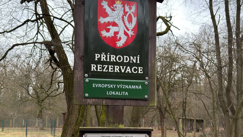Klánovice forest | Photo: Vít Pohanka,  Radio Prague International