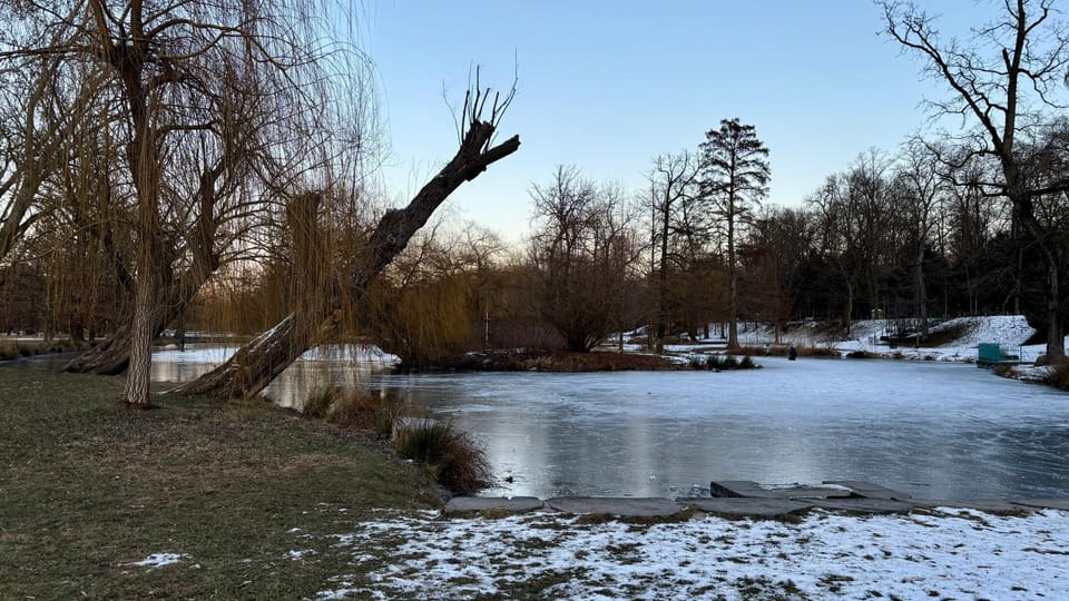 Stromovka in winter | Photo: Kristina Kellnerová,  Radio Prague International