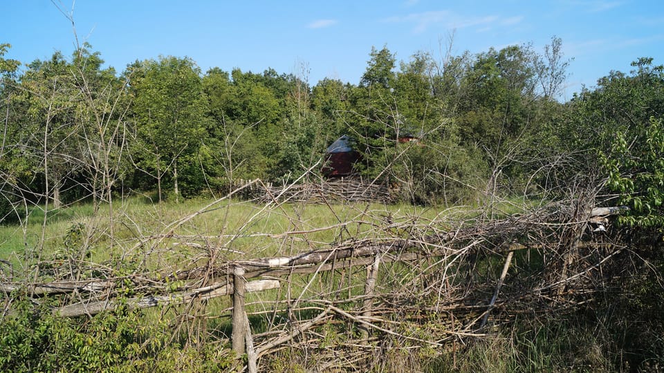 House at Podmoráňská | Photo: Miloš Turek, Radio Prague International House at Podmoráňská | Photo: Miloš Turek, Radio Prague International