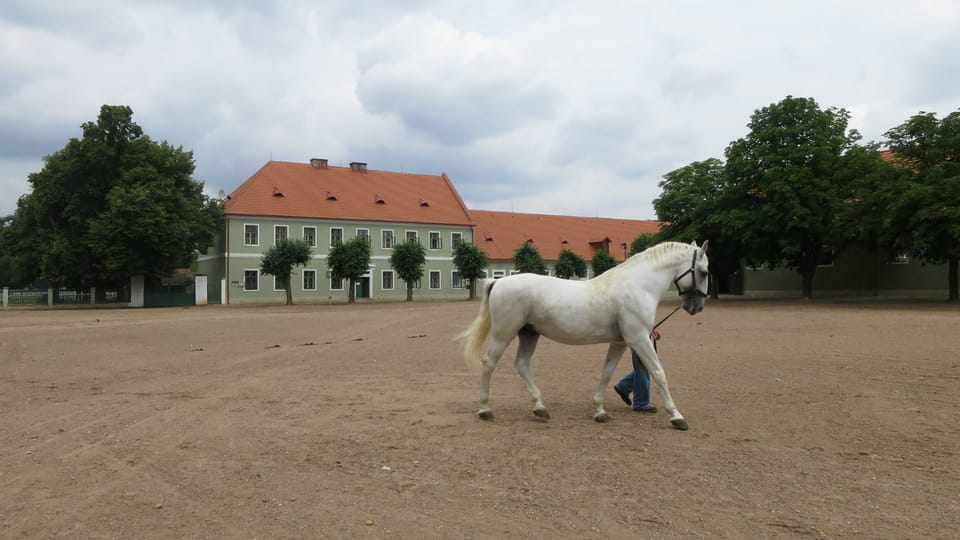 Courtyard of the Kladruby nad Labem National Stud | Photo: Tereza Brázdová, Czech Radio Courtyard of the Kladruby nad Labem National Stud | Photo: Tereza Brázdová, Czech Radio