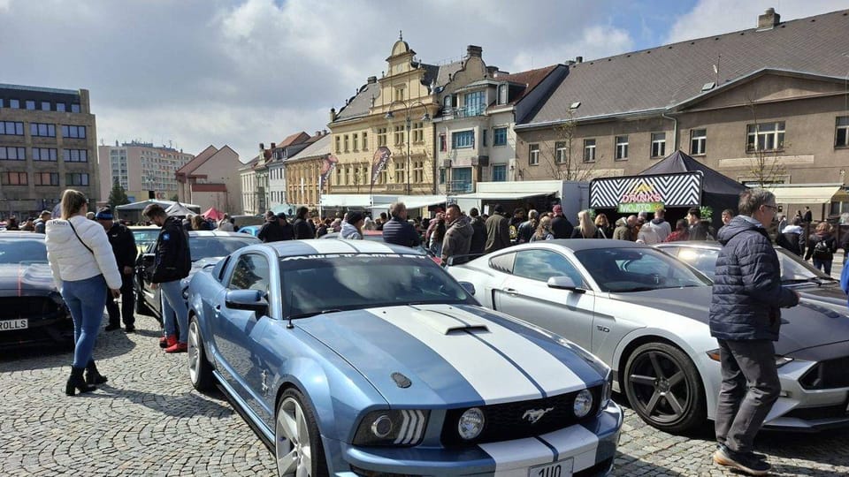 Mustang | Photo: Žofie Nováčková, Czech Radio Mustang | Photo: Žofie Nováčková, Czech Radio