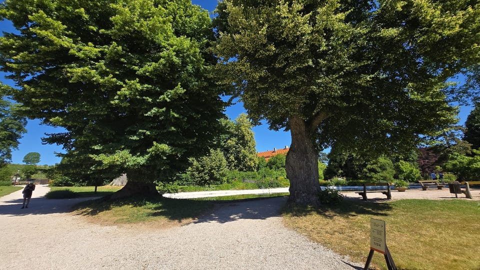 Chateau Park in Ratibořice | Photo: Vladislava Wildová,  Czech Radio