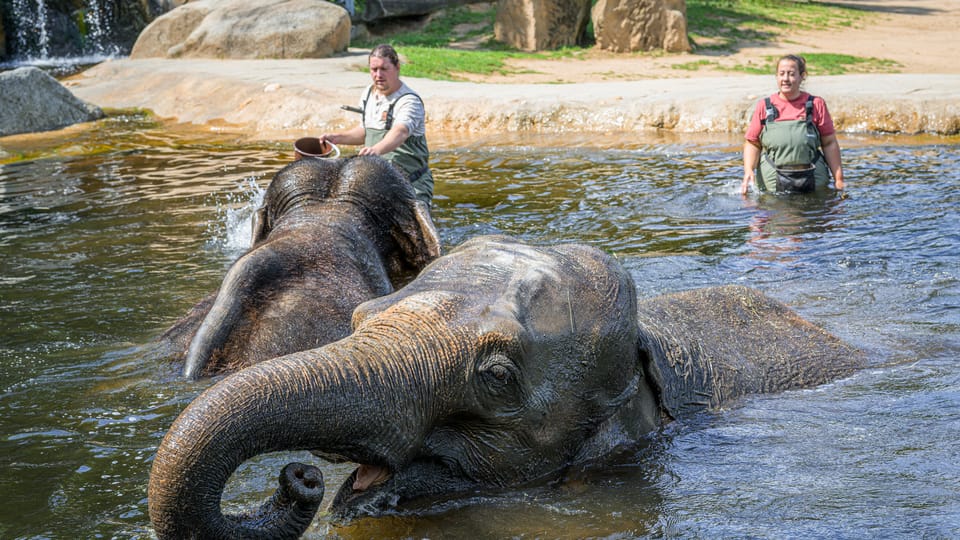 Photo: ZOO Praha Photo: ZOO Praha