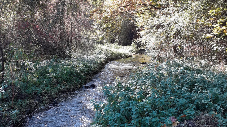 Divoká Šárka,  photo: Marion Galard