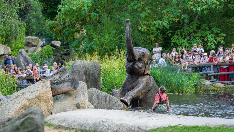 Photo: ZOO Praha