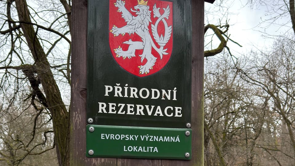 Klánovice forest | Photo: Vít Pohanka,  Radio Prague International