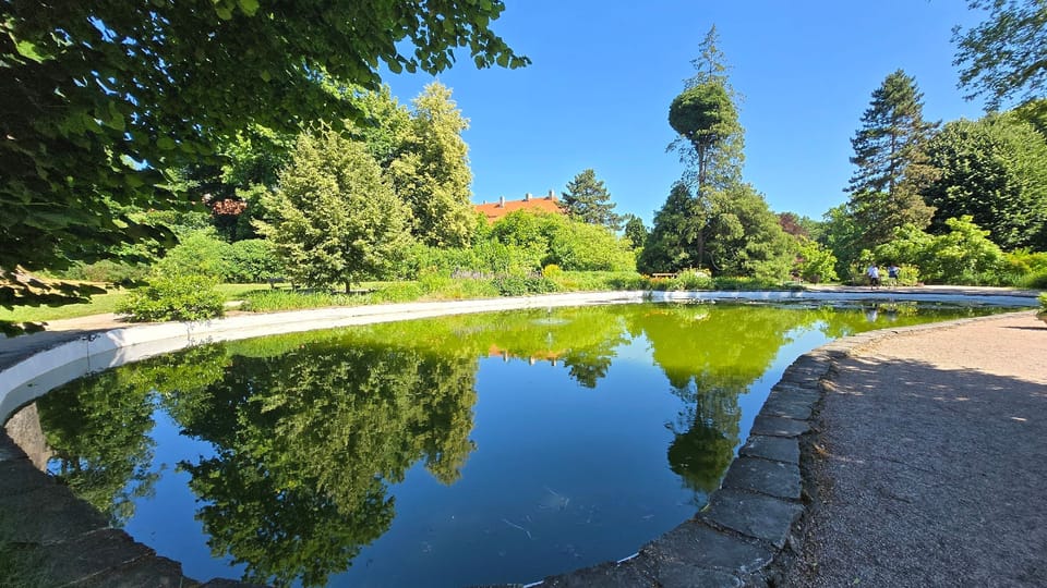 Chateau Park in Ratibořice | Photo: Vladislava Wildová, Czech Radio Chateau Park in Ratibořice | Photo: Vladislava Wildová, Czech Radio