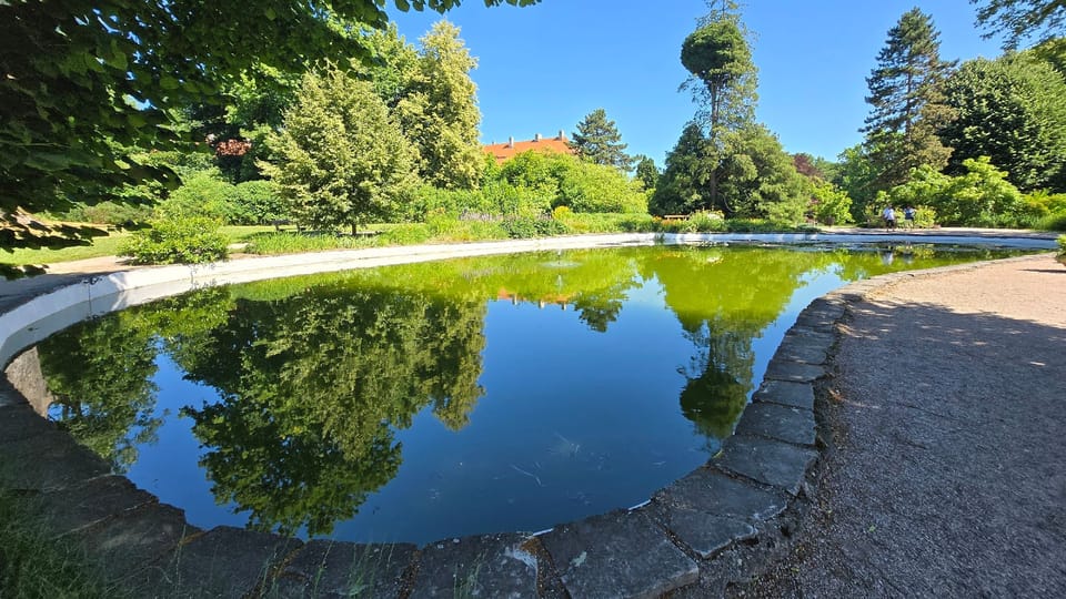 Chateau Park in Ratibořice | Photo: Vladislava Wildová, Czech Radio Chateau Park in Ratibořice | Photo: Vladislava Wildová, Czech Radio