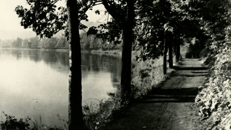 Dvořák’s pathway | Photo: Exhibition 'Antonín Dvořák - Inspiration by nature'/National Museum Dvořák’s pathway | Photo: Exhibition 'Antonín Dvořák - Inspiration by nature'/National Museum