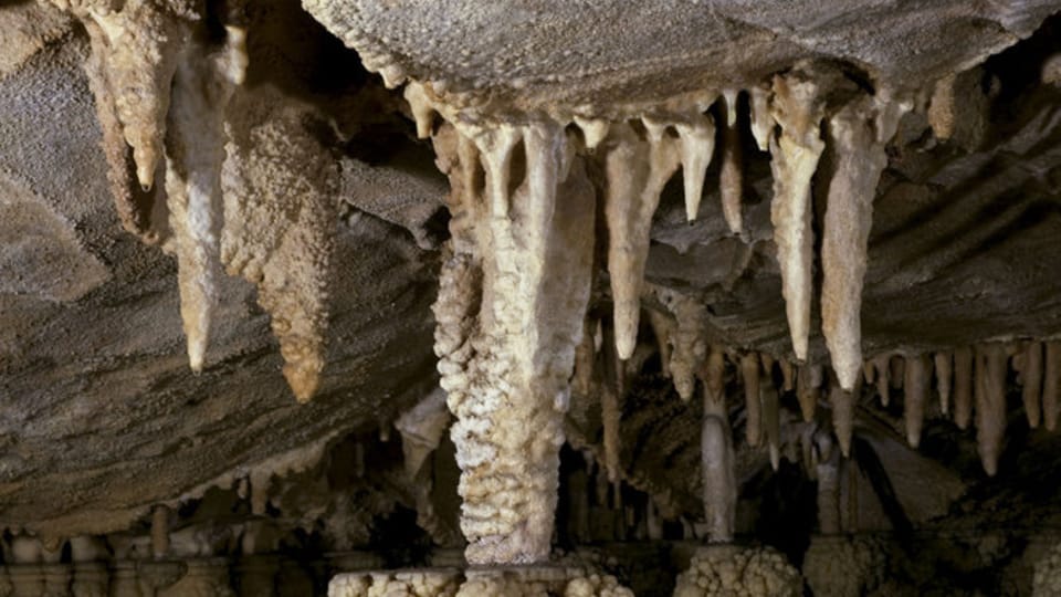 Muradi Cave, photo: Petr Zajíček / Cave Administration of the Czech Republic Muradi Cave, photo: Petr Zajíček / Cave Administration of the Czech Republic