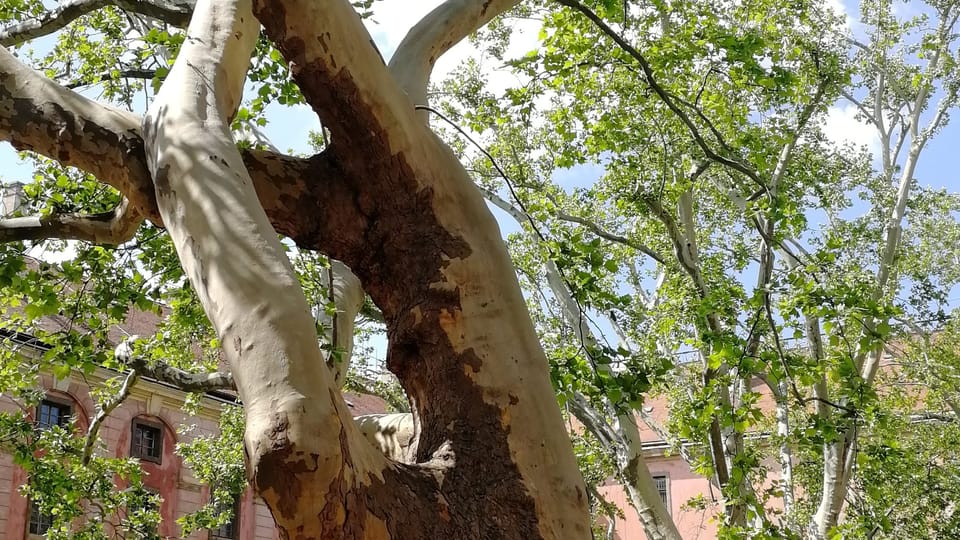 Invalidovna complex, photo: Štěpánka Budková Invalidovna complex, photo: Štěpánka Budková