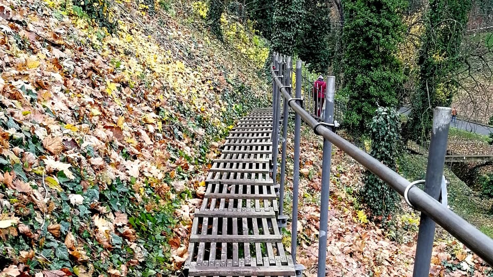 Deer Moat,  photo: Štěpánka Budková