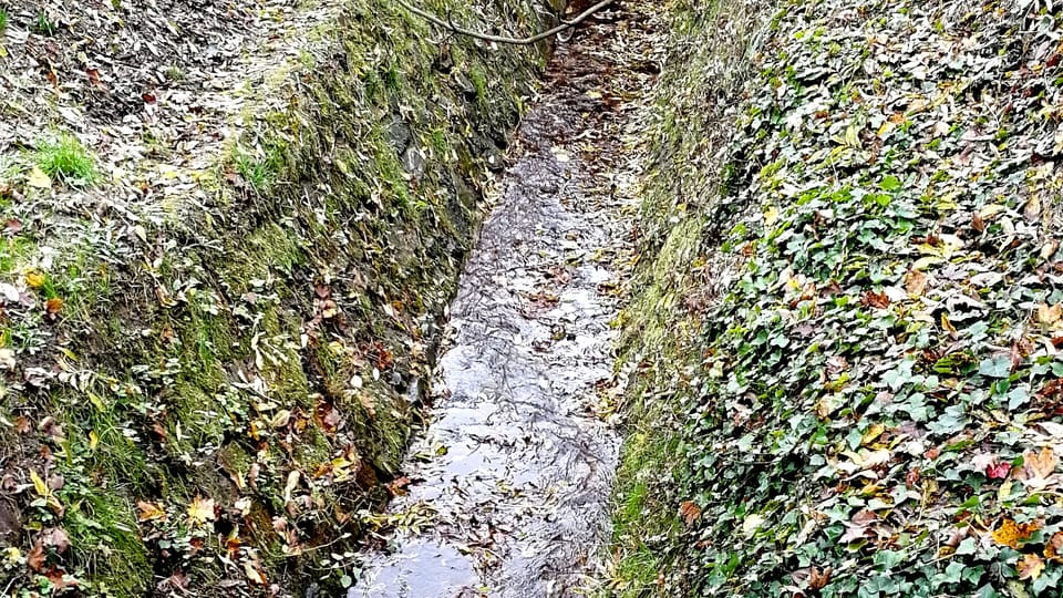 Brusnice brook, photo: Štěpánka Budková Brusnice brook, photo: Štěpánka Budková