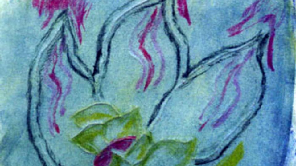Author: Pavla Francova Author: Pavla Francova