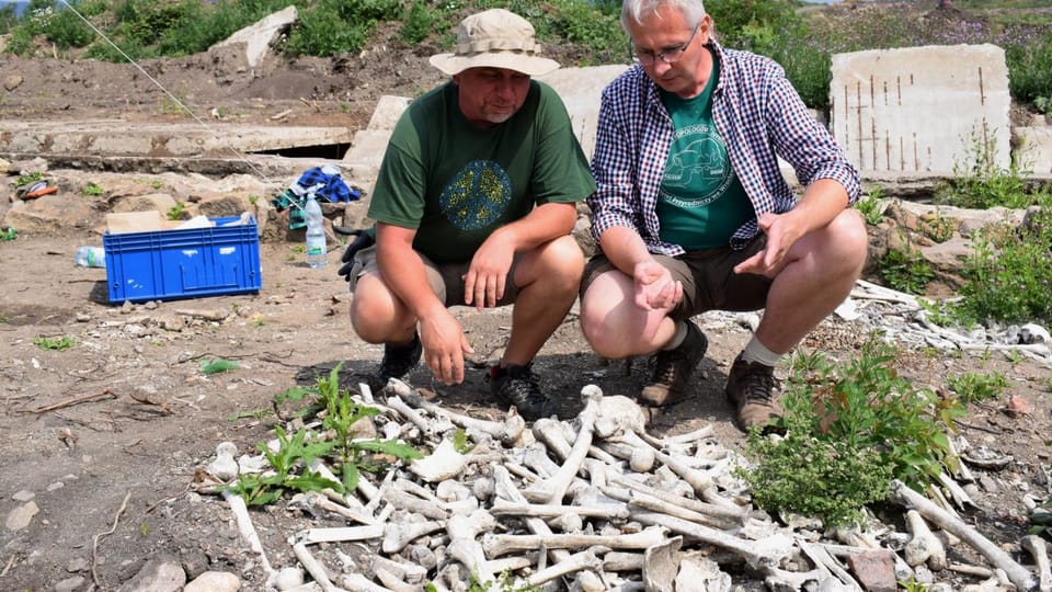 Excavations in Libkovice,  photo: Frederik Velinský / Czech Radio