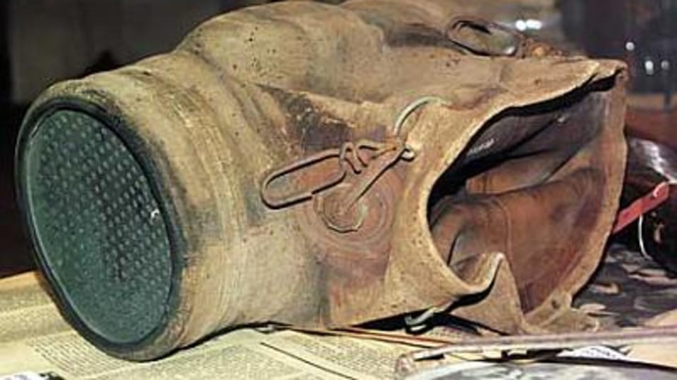 A gas mask for a horse,  photo: Blesk