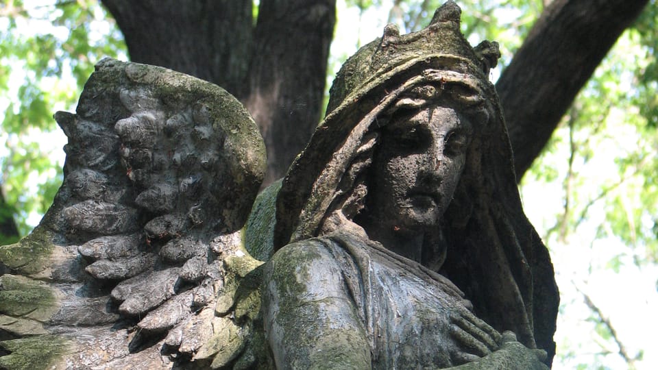 Olsany Cemetery, photo: Štěpánka Budková Olsany Cemetery, photo: Štěpánka Budková