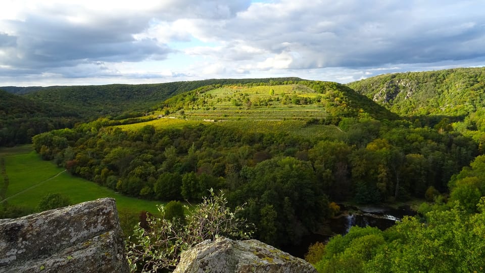 Šobes vineyard in Podyjí National Park | Photo: Neo98,  Pixabay,  CC0 1.0 DEED