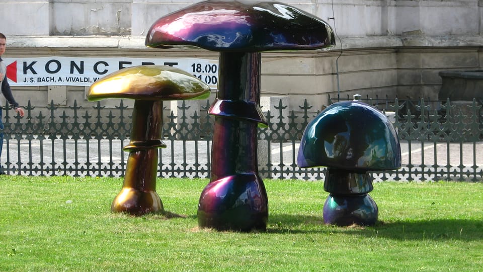 'Hallucinogenic mushrooms' 'Hallucinogenic mushrooms'