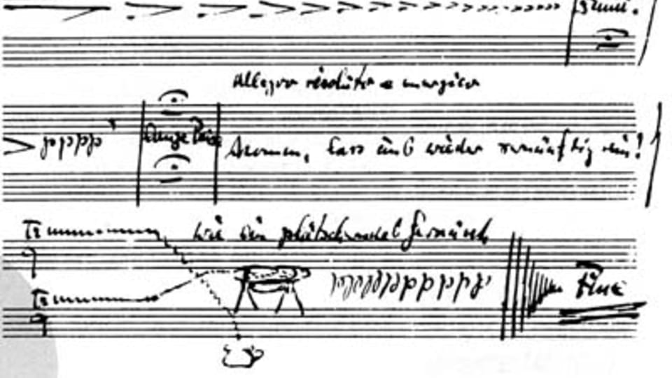Erotic Sonata Erotic Sonata