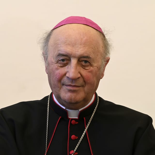 Jan Graubner | Photo: Michal Krumphanzl, ČTK
