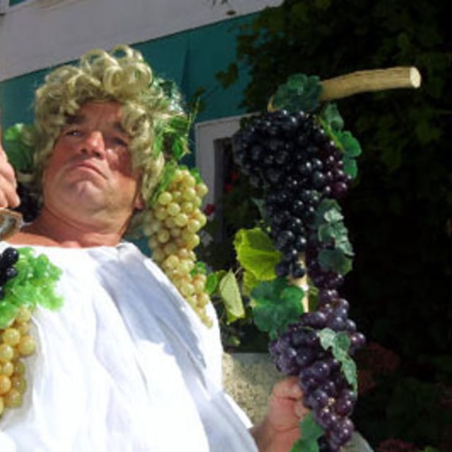 Wine harvesting celebrations in Mikulov, photo: CTK