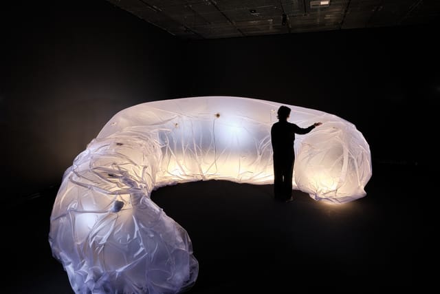 All Things Digesting | Photo: Vojtěch Veškrna,  Kunsthalle Praha