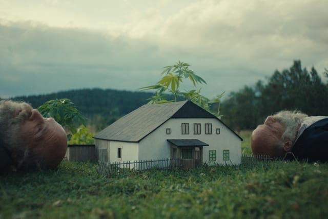 Better Go Mad in the Wild | Photo: Film Servis Festival Karlovy Vary