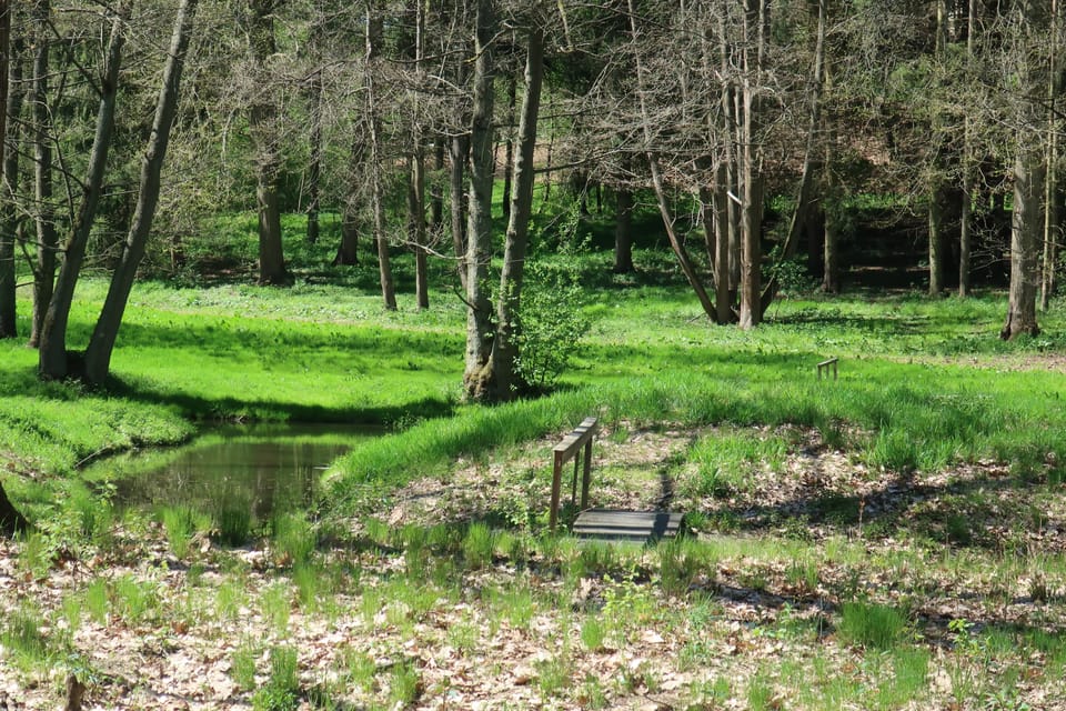 The Konopiště Game Reserve | Photo: Štěpánka Budková, Radio Prague International The Konopiště Game Reserve | Photo: Štěpánka Budková, Radio Prague International