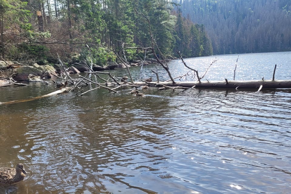 Čertovo jezero | Photo: Hana Slavická,  Radio Prague International