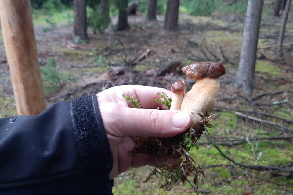 /r/czech/kokorinsko/kokorinsko_peklo/stezka_peklo16.jpg /r/czech/kokorinsko/kokorinsko_peklo/stezka_peklo16.jpg