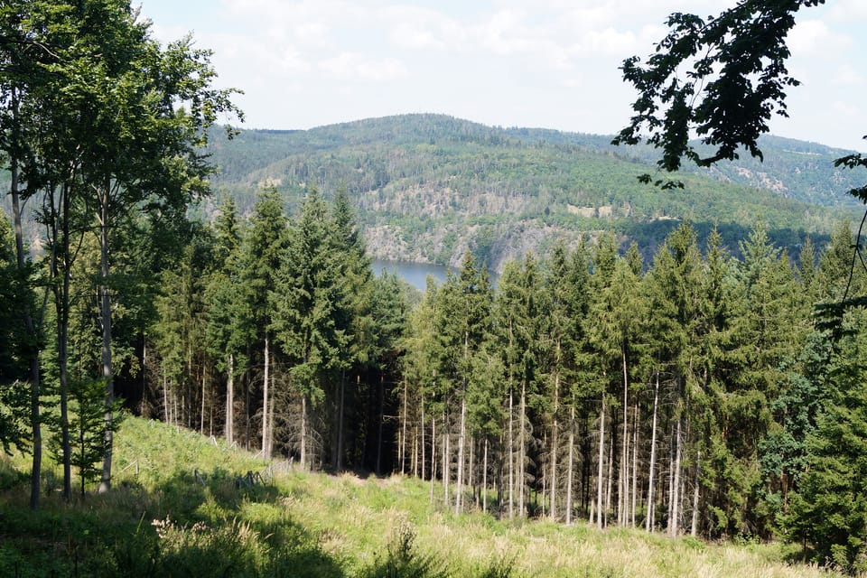 The Drbákov-Albertovy skály national nature reserve | Photo: Miloš Turek, Radio Prague International The Drbákov-Albertovy skály national nature reserve | Photo: Miloš Turek, Radio Prague International