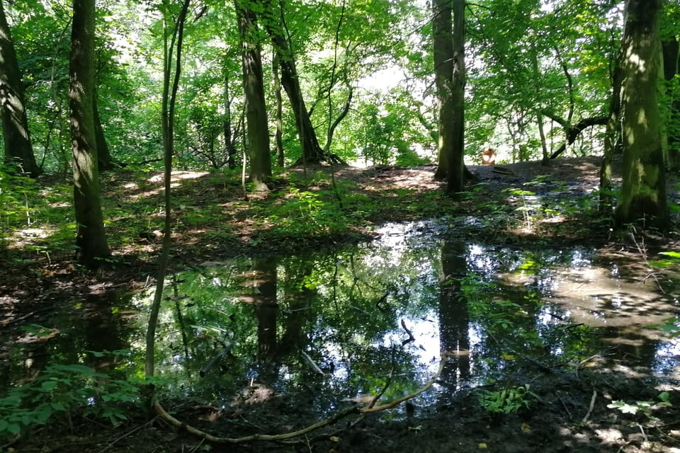 Photo: Štěpánka Budková