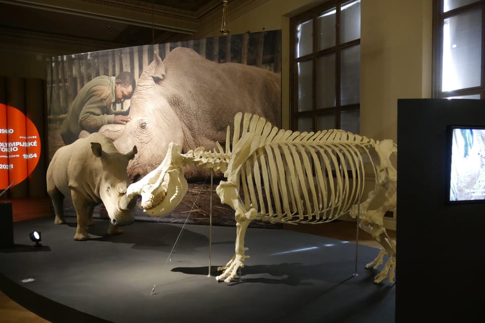'The Miracles of Evolution' | Photo: Zoé Samin, Radio Prague International 'The Miracles of Evolution' | Photo: Zoé Samin, Radio Prague International