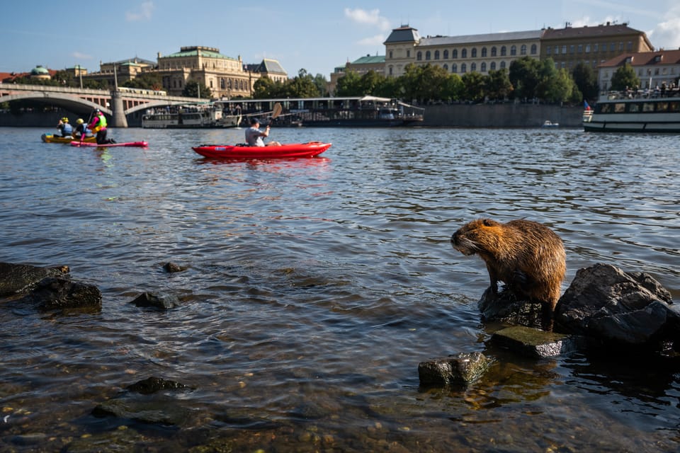 Photo: Zuzana Jarolímková,  iROZHLAS.cz