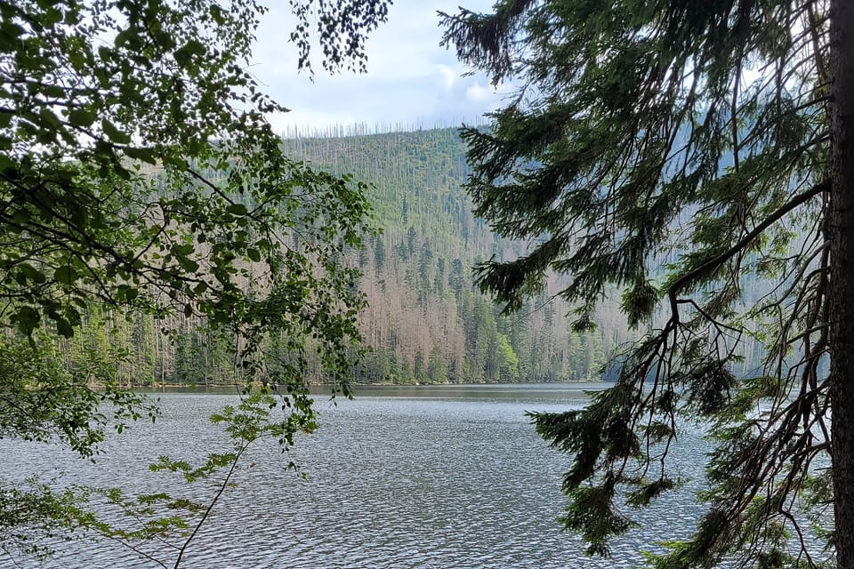 Černé jezero | Photo: Hana Slavická,  Radio Prague International