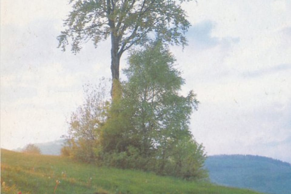 QSL card (1992) | Photo: Czech Radio QSL card (1992) | Photo: Czech Radio