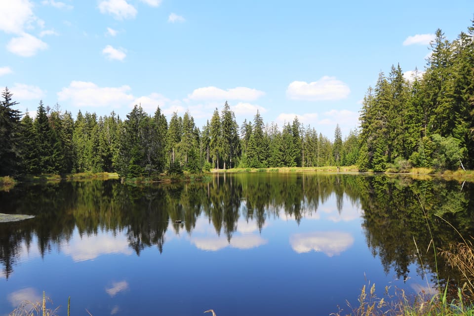 Slavkovský les | Photo: Naďa Krásná, Czech Radio Slavkovský les | Photo: Naďa Krásná, Czech Radio