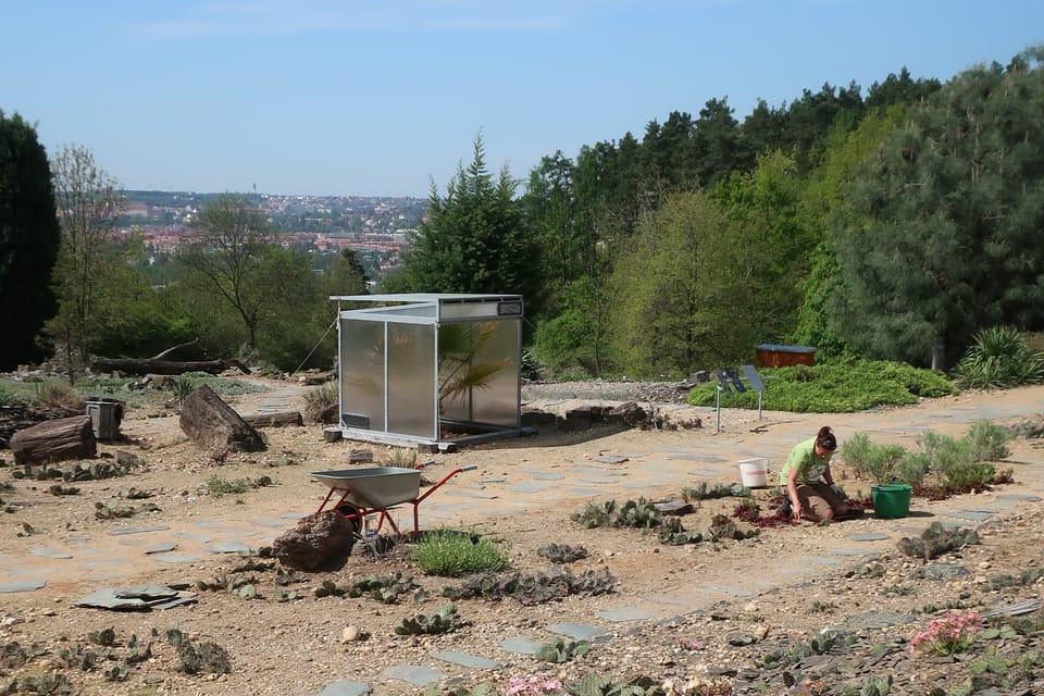 Photo: Štěpánka Budková, Radio Prague International Photo: Štěpánka Budková, Radio Prague International