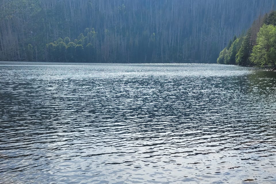 Černé jezero | Photo: Hana Slavická,  Radio Prague International